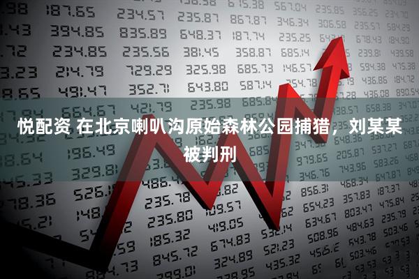 悦配资 在北京喇叭沟原始森林公园捕猎，刘某某被判刑