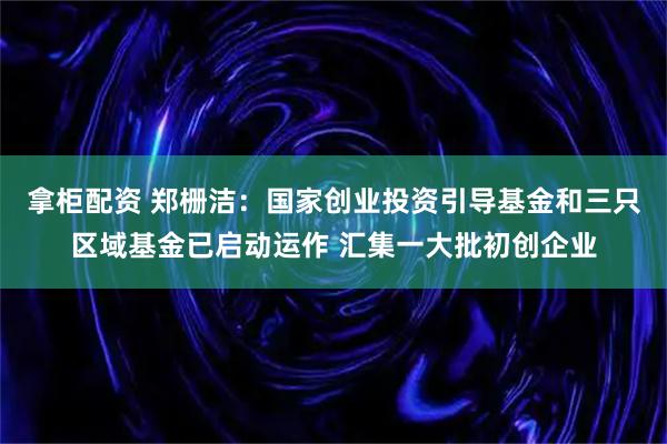 拿柜配资 郑栅洁：国家创业投资引导基金和三只区域基金已启动运作 汇集一大批初创企业