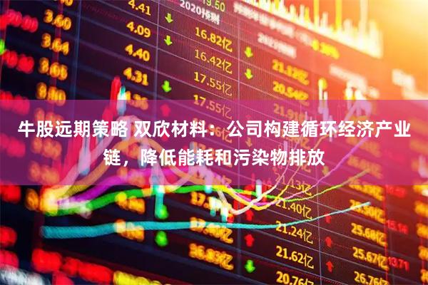 牛股远期策略 双欣材料：公司构建循环经济产业链，降低能耗和污染物排放