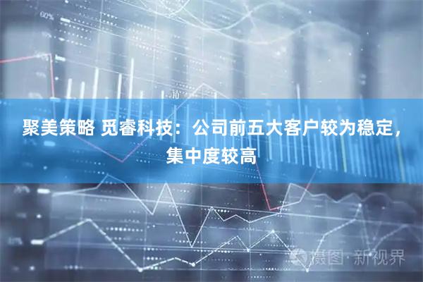 聚美策略 觅睿科技：公司前五大客户较为稳定，集中度较高