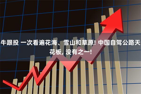 牛跟投 一次看遍花海、雪山和草原! 中国自驾公路天花板, 没有之一!