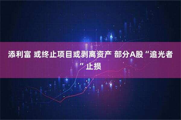 添利富 或终止项目或剥离资产 部分A股“追光者”止损