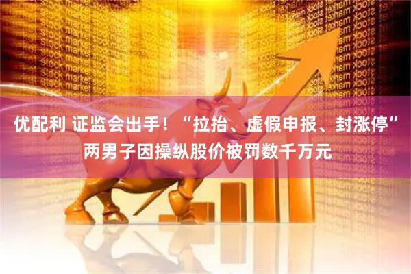优配利 证监会出手！“拉抬、虚假申报、封涨停” 两男子因操纵股价被罚数千万元