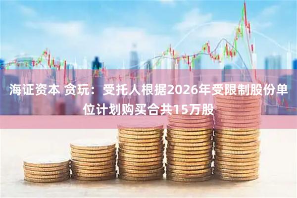 海证资本 贪玩：受托人根据2026年受限制股份单位计划购买合共15万股