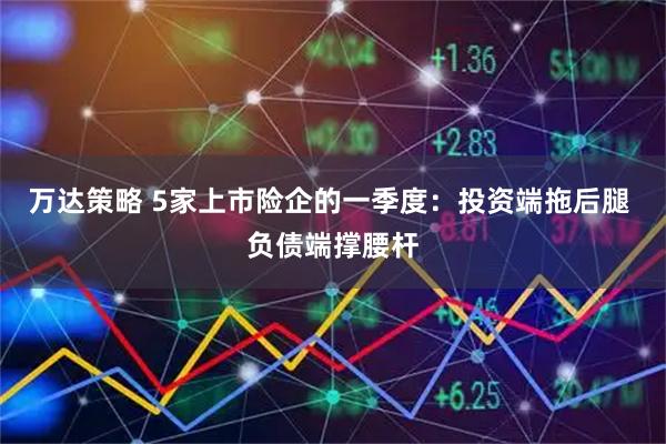 万达策略 5家上市险企的一季度：投资端拖后腿 负债端撑腰杆