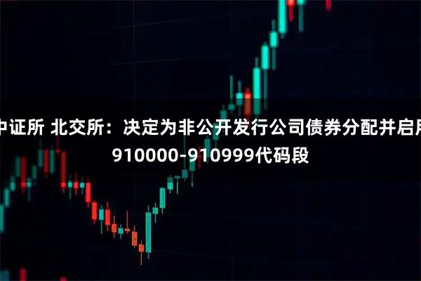 中证所 北交所：决定为非公开发行公司债券分配并启用910000-910999代码段